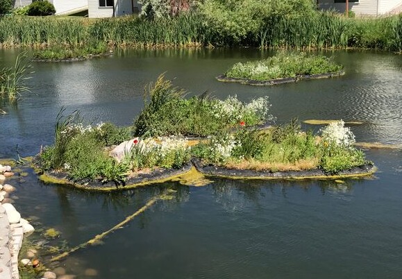 Jardins Flutuantes Para Tratamento De Gua Biofilme Snatural Ambiente