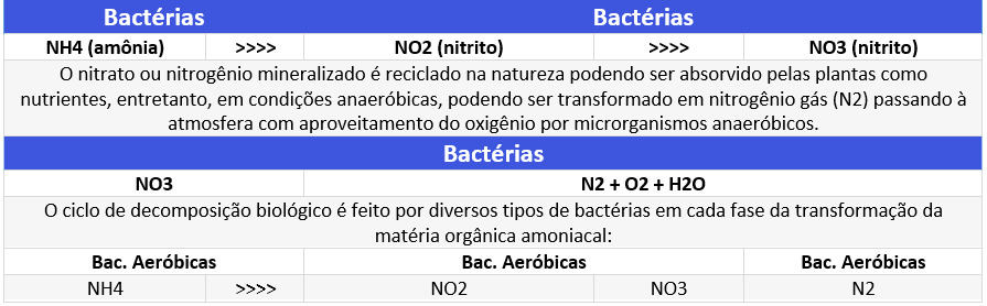 Tabela de Decomposição aeróbica de matéria orgânica 02